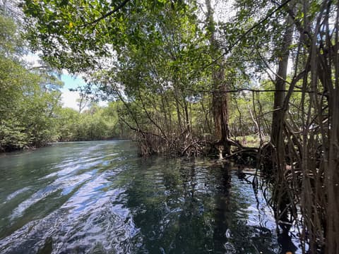 Expedición de Aventura Costa Norte Coast