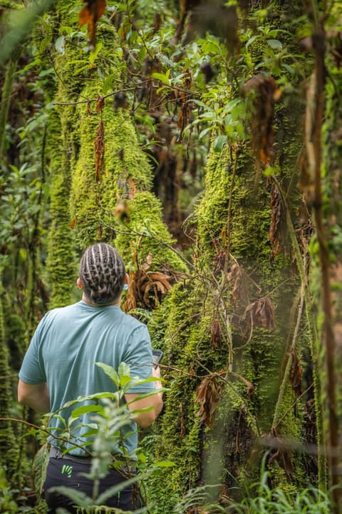 Panorama of Uganda Safari and Extension at Mgahinga National Park