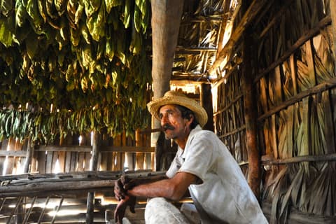 Cuba Linda with Casa Particulares