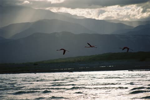 Experiencia en la naturaleza en un paraíso escondido