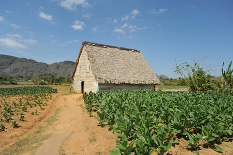 Portrait of an Island