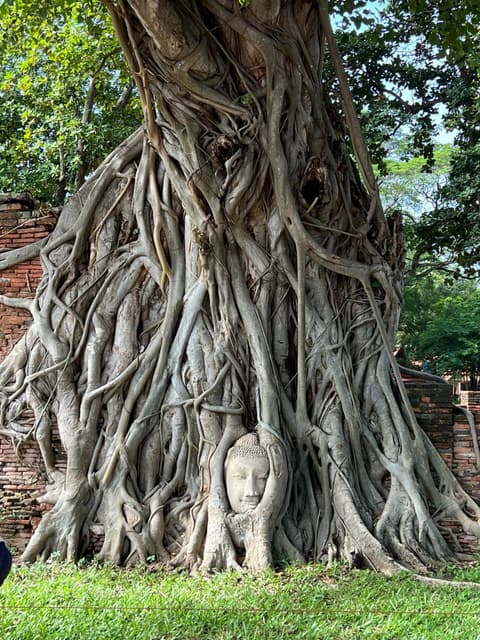 6 Days Around Thailand