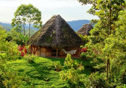 Quito and the Ecuadorian Amazon