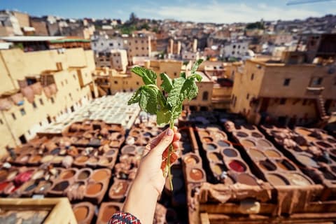 Città Imperiali e Chefchaouen, la Perla Blu da Casablanca