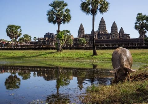 Vietnam Esencial & Delta del Mekong