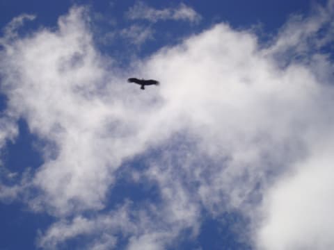 Argentina e Cile Gran Tour con Valdes