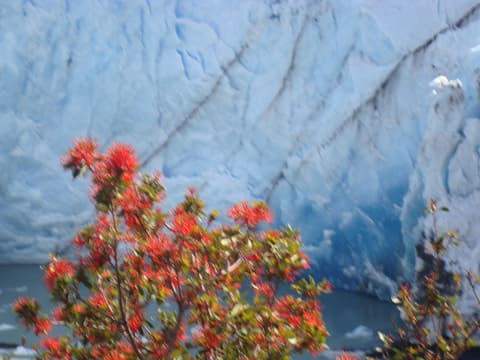 Argentina e Cile Classico