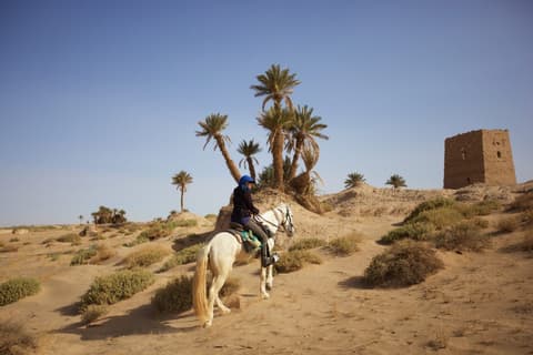 Marocco: La cavalcata del deserto