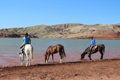 Morocco: the imperial cities