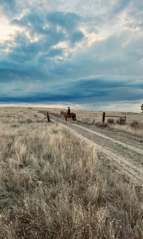 Stati Uniti: Wyoming - Soggiorno equestre in ranch in Wyoming