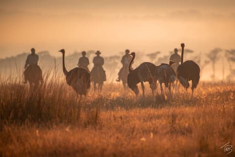 Sud Africa: Safari a cavallo nel Waterberg