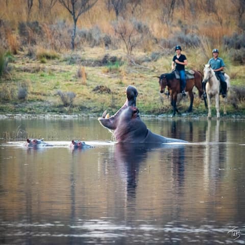 Sud Africa: Safari a cavallo nel Waterberg