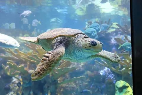 The Boston Package - The Bostonian Hotel - 5 Nights