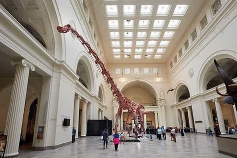 The Chicago Package - RIU Plaza Chicago Hotel - 5 Nights