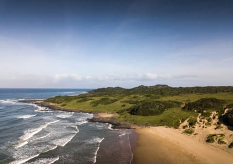 South Africa: a horse in the eastern cape - discovering the wild coast