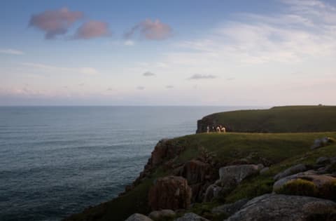 South Africa: a horse in the eastern cape - discovering the wild coast