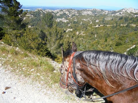 Francia: Provenza/Camargue - La cavalcata del mediterraneo