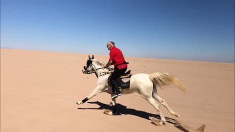 Egypt: Discovering the Eastern Desert