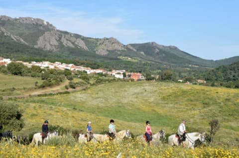 Spagna centrale: il parco nazionale di monfrague