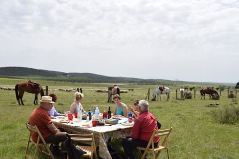Spagna centrale: il parco nazionale di monfrague