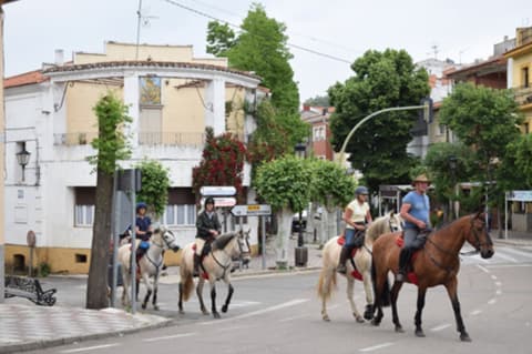 Spagna centrale: il parco nazionale di monfrague