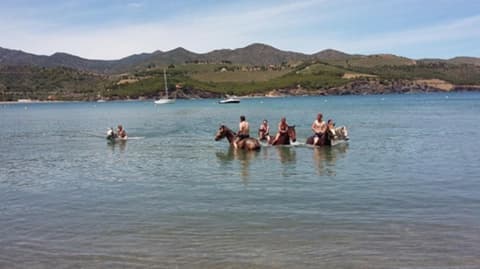 Spagna: Catalogna - pirenei & costa brava