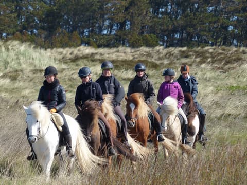 Danimarca: Al galoppo sul mare dei wadden