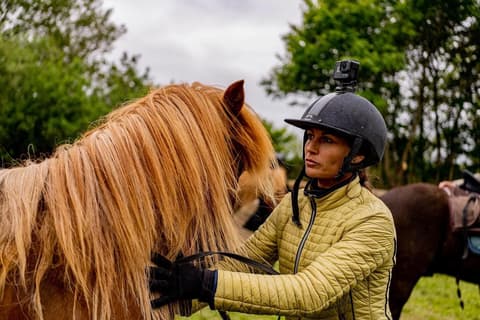 Danimarca: Al galoppo sul mare dei wadden