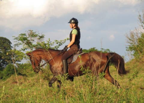 Brasile - Rio/ San Paolo: Cavalcare tra le piantagioni