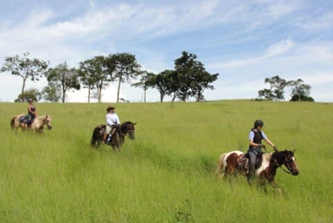Brasile - Rio/ San Paolo: Cavalcare tra le piantagioni