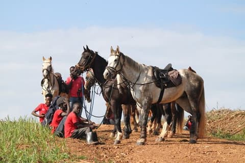 Uganda: alla scoperta del nilo bianco