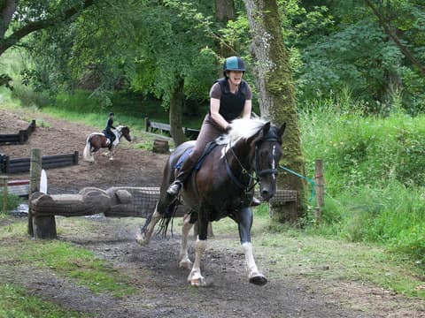 Ireland: Monaghan - equestrian stay at Castle Leslie