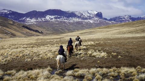 Chile: Patagonia - the torres del paine national park