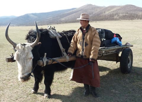 Mongolia: Khan Khentii - Le piste mongole