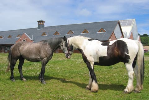 Irlanda: Kerry - alla scoperta della contea di kerry