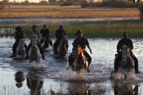 Botswana: Safari nel delta dell'Okavango