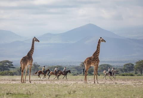 Tanzania: Horseback safari in Arusha National Park