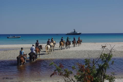 Francia: Corsica - tra mare & montagna