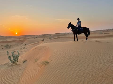 A cavallo a dubai: il primo tra gli emirati