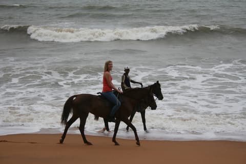 Sri Lanka: L'isola del the