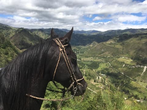 Ecuador: La via dei vulcani