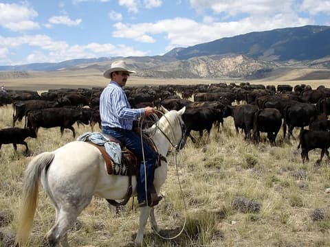 Stati Uniti: Montana - sulle tracce di nicholas evans