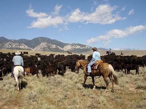 Stati Uniti: Montana - sulle tracce di nicholas evans