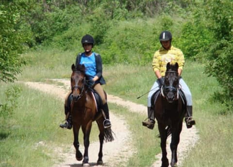 Croatia: Discovering dalmatia