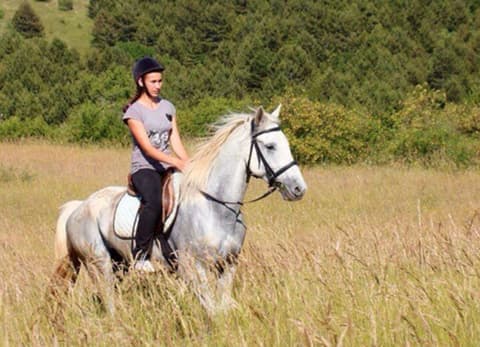 Croatia: Discovering dalmatia