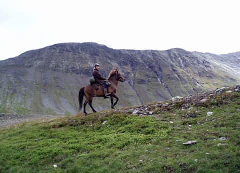 Norvegia: Trekking sulle montagne norvegesi