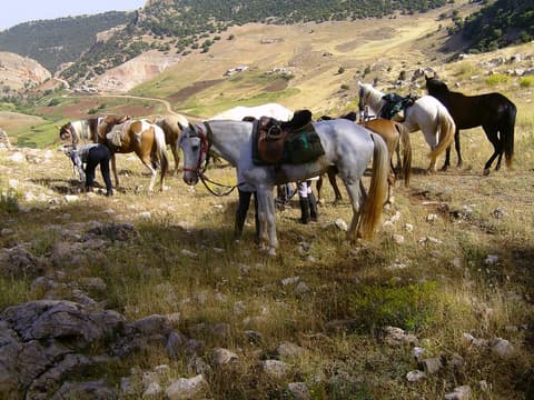 Marocco: Le montagne dell’atlas