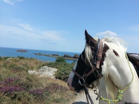 Francia: Normandia - da Cancale a mont Saint Michel