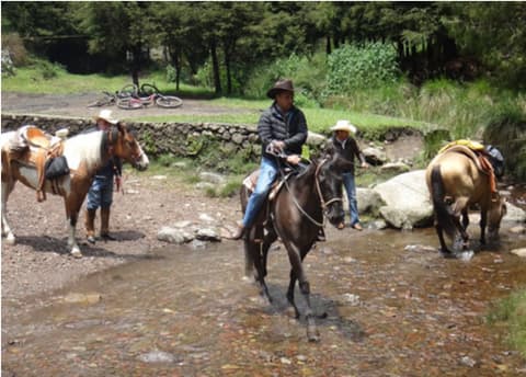Messico centrale: il parco naturale di ajusco