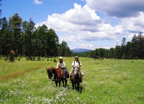 Stati Uniti: New mexico: avventura apache